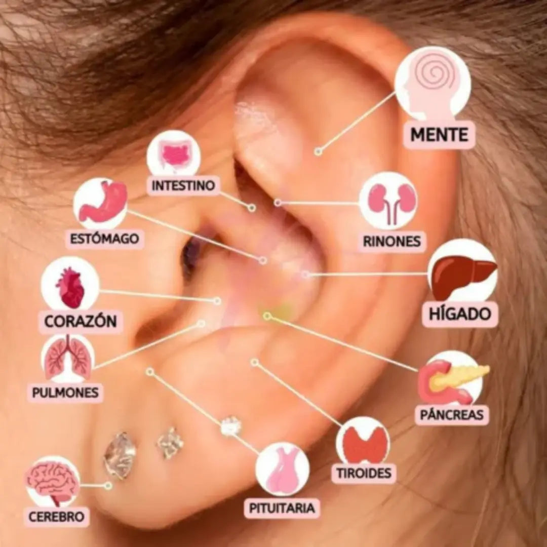 BALINES MAGNETICOS MAGNIFIT® + GUIA DE AURICULOTERAPIA