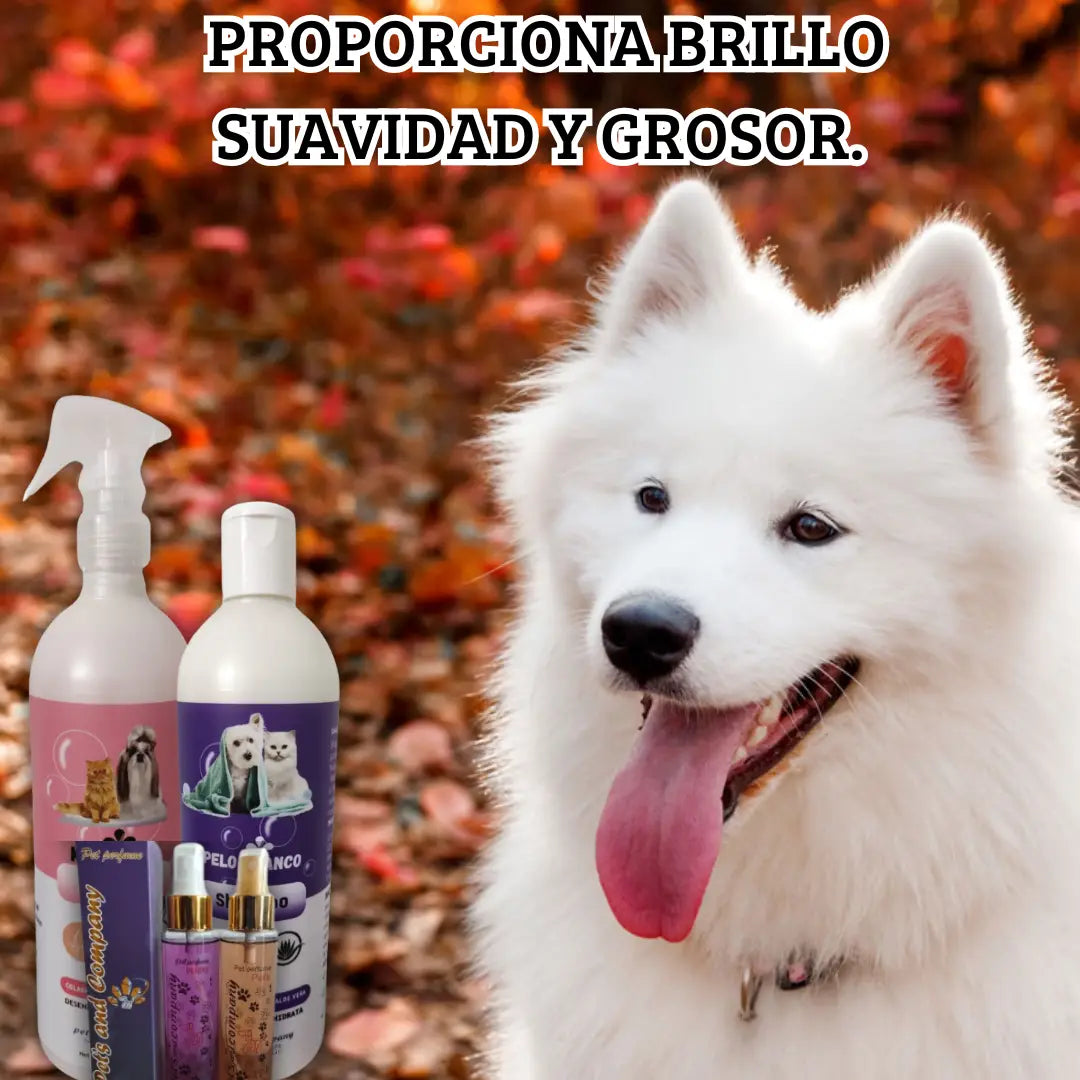 KIT DE BAÑO PARA MASCOTAS