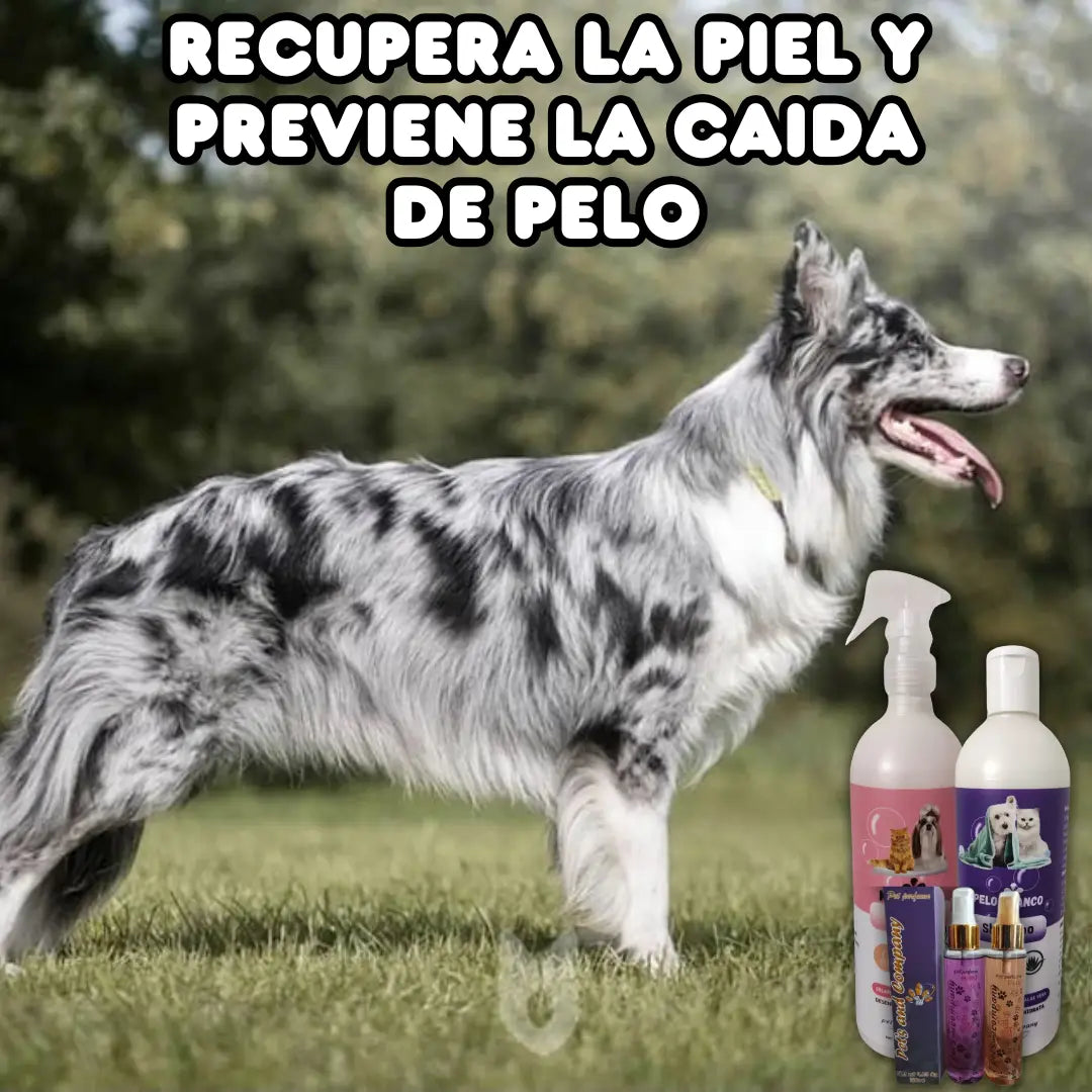 KIT DE BAÑO PARA MASCOTAS